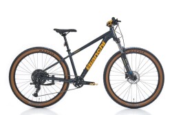 Bianchi Magma 27.X 1x8 Vites Dağ Bisikleti 27.5 Jant 38 Cm Sarı - BİANCHİ