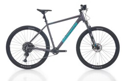 Bianchi Magma Comp 9.1 CUES 1x10 Vites Dağ Bisikleti 29 Jant 43 Cm Gri - BİANCHİ