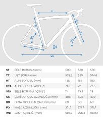 Bianchi R0013-Disk Hidrolik Fren Yol - Yarış Bisikleti 53 Cm 2x12 vites - 2