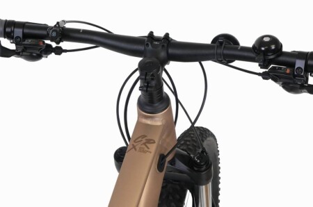 Carraro CRX 921 Dağ Bisiklet M/44Cm Mat Bronz - 3