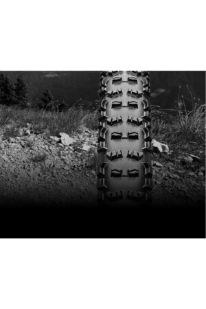 Continental Trail King 29x2.40 ProTection Apex SL Tubeless Ready Dış Lastik - 6