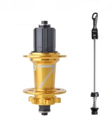 HASSNS Pro7 Arka Göbek 32 Delik Gold - HASSNS