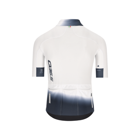 Q36.5 Gregarius Pro Collar Fade Signature Forma - 2