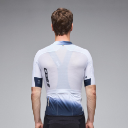 Q36.5 Gregarius Pro Collar Fade Signature Forma - 4