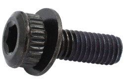 Shimano Kaliper Sabitleme Cıvatası Tip A Flat-Mount - 1