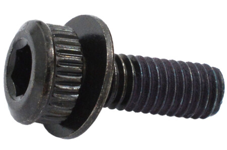 Shimano Kaliper Sabitleme Cıvatası Tip A Flat-Mount - 1
